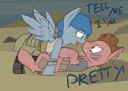 Size: 3500x2500 | Tagged: safe, artist:erthilo, oc, oc only, pegasus, pony, fallout equestria, high res, raider