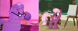 Size: 869x346 | Tagged: safe, screencap, cheerilee, miss hackney, earth pony, pony, call of the cutie, g1, g4, my little pony tales, stand by me, chalkboard, female, glasses, grin, image macro, mare, math, quantum mechanics, school, smiling
