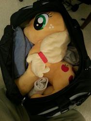 Size: 600x800 | Tagged: artist needed, safe, applejack, g4, babscon, bag, irl, photo, plushie, solo