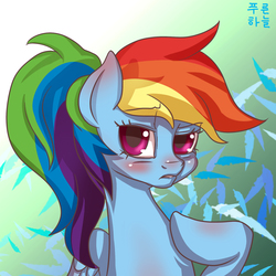 Size: 1500x1500 | Tagged: safe, artist:mrs1989, rainbow dash, g4, alternate hairstyle, blushing, female, frown, looking at you, ponytail, solo