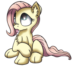 Size: 689x634 | Tagged: safe, artist:mistydash, fluttershy, cat, g4, :p, catified, chest fluff, cute, ear fluff, female, fluttercat, looking up, nose wrinkle, shyabetes, simple background, sitting, solo, species swap, tongue out, transparent background