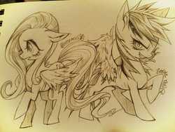 Size: 816x612 | Tagged: safe, artist:pigeon666, fluttershy, rainbow dash, g4, grayscale, monochrome, sketch, traditional art