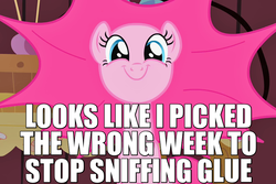 Size: 900x600 | Tagged: safe, screencap, pinkie pie, g4, party of one, airplane!, c:, caption, female, glue, happy, image macro, implied, smiling, solo