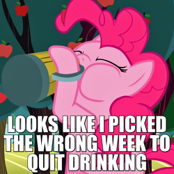 Size: 720x720 | Tagged: safe, screencap, pinkie pie, g4, the super speedy cider squeezy 6000, airplane!, alcohol, booze, caption, cider, drinking, female, solo