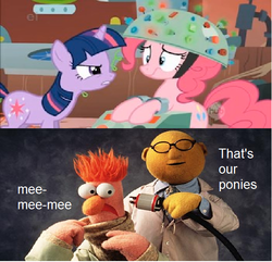 Size: 565x545 | Tagged: safe, edit, edited screencap, screencap, pinkie pie, twilight sparkle, feeling pinkie keen, g4, beaker, beaker (the muppets), dr. bunsen honeydew, laboratory, meme, that's my pony, that's my x, the muppets