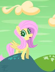 Size: 800x1055 | Tagged: safe, artist:php92, fluttershy, g4, female, solo