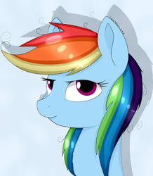 Size: 5239x6000 | Tagged: safe, artist:lace_felora, rainbow dash, g4, absurd resolution, female, portrait, solo