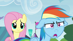 Size: 1920x1080 | Tagged: safe, screencap, fluttershy, rainbow dash, g4, my little pony: friendship is magic, trade ya!, duo