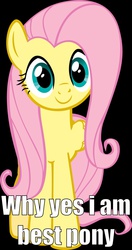 Size: 900x1709 | Tagged: safe, fluttershy, g4, best pony, female, image macro, meme, out of character, solo