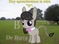 Size: 1597x1198 | Tagged: safe, octavia melody, donkey, g4, alphabet, burroctavia, cute, donkey ears, donkified, female, humor, image macro, meme, sesame street, solo, spanish, species swap, translated in the comments, weapons-grade cute, ya es hora