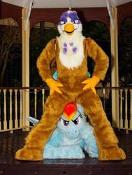 Size: 512x677 | Tagged: safe, artist:neouka, artist:spainfischer, gilda, rainbow dash, griffon, g4, cosplay, fursuit, gangnam style, irl, photo, sydneyroo(coser)