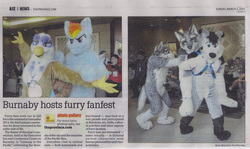 Size: 1024x611 | Tagged: safe, artist:neouka, artist:spainfischer, gilda, rainbow dash, griffon, g4, canada, cosplay, furry, fursuit, irl, news, newspaper, photo, sydneyroo(coser), vancouver