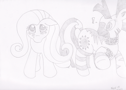 Size: 1317x941 | Tagged: safe, artist:mc-ryan, fluttershy, zecora, pegasus, pony, zebra, g4, crying, monochrome, sad