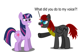 Size: 1024x689 | Tagged: safe, artist:gamerpen, twilight sparkle, oc, g4, duo