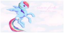 Size: 1087x562 | Tagged: safe, artist:hioshiru, rainbow dash, g4, female, solo