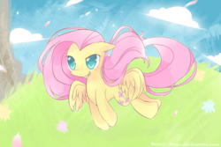 Size: 1200x800 | Tagged: safe, artist:milkii-ways, fluttershy, g4, female, solo