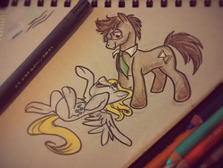 Size: 1280x960 | Tagged: safe, artist:romaniz, derpy hooves, doctor whooves, time turner, earth pony, pegasus, pony, g4, female, glasses, male, mare, photo, stallion, traditional art