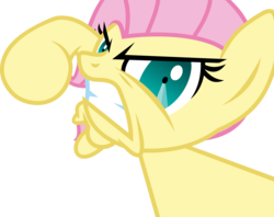 Size: 4910x3895 | Tagged: safe, artist:gray-gold, fluttershy, smile hd, g4, female, layering error, simple background, solo, transparent background, vector
