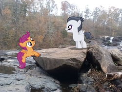 Size: 2592x1944 | Tagged: safe, artist:90sigma, artist:tokkazutara1164, artist:xeregon, rumble, scootaloo, g4, climbing, female, irl, male, photo, ponies in real life, river, rock, ship:rumbloo, shipping, straight, vector