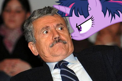 Size: 990x660 | Tagged: safe, twilight sparkle, human, pony, g4, angry, clothes, duo, female, irl, irl human, male, mare, massimo d'alema, photo, suit