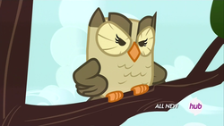 Size: 1920x1080 | Tagged: safe, screencap, owlowiscious, bird, owl, g4, inspiration manifestation, angry, hub logo, male, sitting in a tree, solo, tree branch