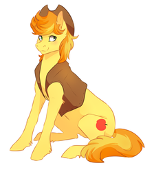 Size: 1075x1122 | Tagged: safe, artist:risu-nya, braeburn, g4, male, solo