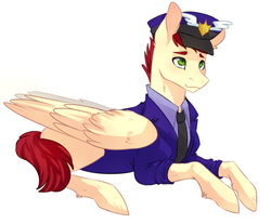 Size: 900x744 | Tagged: safe, artist:risu-nya, care package, special delivery, pegasus, pony, g4, clothes, mailpony, male, necktie, prone, simple background, solo, stallion, uniform, white background