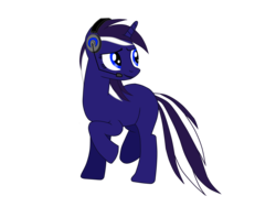 Size: 4288x3216 | Tagged: safe, artist:bronystormchasers, oc, oc only, oc:starry night, solo