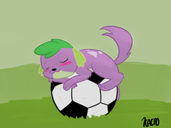 Size: 800x600 | Tagged: safe, artist:kaiponi, spike, dog, equestria girls, g4, eyes closed, male, sleeping, solo, spike the dog