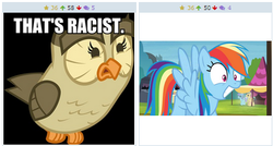 Size: 386x207 | Tagged: safe, rainbow dash, owl, derpibooru, g4, exploitable meme, juxtaposition, juxtaposition win, meme, meta, smiling