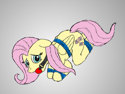 Size: 800x600 | Tagged: artist needed, source needed, safe, fluttershy, pegasus, pony, g4, ballgag, bondage, bound wings, female, gag, kneeling, mare, rope, solo