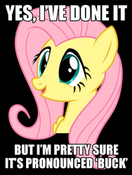 Size: 750x1000 | Tagged: safe, fluttershy, g4, caption, exploitable meme, female, image macro, meme, painfully innocent fluttershy, solo, text