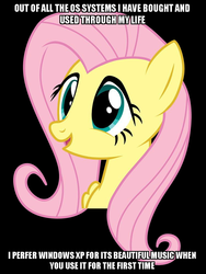 Size: 750x1000 | Tagged: safe, fluttershy, g4, caption, exploitable meme, female, image macro, meme, painfully innocent fluttershy, solo, text, windows xp, youtube link