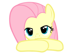 Size: 1600x1200 | Tagged: safe, artist:kuren247, fluttershy, g4, female, simple background, solo, that's nice, transparent background, vector