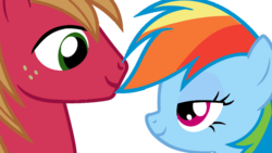 Size: 1191x670 | Tagged: safe, artist:offical-lunaflaire, big macintosh, rainbow dash, earth pony, pegasus, pony, g4, eye contact, female, looking at each other, male, mare, ship:rainbowmac, shipping, stallion, straight