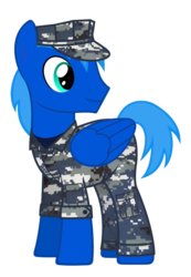 Size: 744x1074 | Tagged: safe, artist:totallynotabronyfim, oc, oc only, pegasus, pony, clothes, hooves, military, military uniform, navy, nwu, solo, uniform