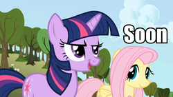 Size: 960x540 | Tagged: source needed, safe, fluttershy, twilight sparkle, g4, image macro, meme, soon
