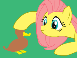 Size: 923x694 | Tagged: artist needed, safe, fluttershy, duck, pony, g4