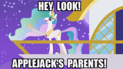 Size: 756x424 | Tagged: safe, artist:viva reverie, princess celestia, alicorn, pony, princess celestia being deep, g4, applejack's parents, caption, celestia pointing, crown, female, folded wings, hoof shoes, horn, image macro, jewelry, mare, meme, multicolored mane, multicolored tail, night, open mouth, peytral, pointing, regalia, show accurate, solo, standing, stars, tail, text, wings