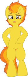 Size: 740x2018 | Tagged: safe, artist:daydreamsyndrom, spitfire, pony, g4, belly button, bipedal, female, solo, standing