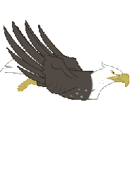 Size: 246x333 | Tagged: safe, that friggen eagle, bald eagle, eagle, animated, flying, simple background, solo, transparent background