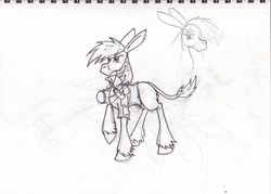 Size: 1280x918 | Tagged: safe, artist:zubias, oc, oc only, donkey, fallout equestria, monochrome, sketch, solo, traditional art