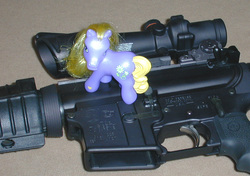 Size: 800x564 | Tagged: safe, g3, ar-15, irl, photo, photography, toy