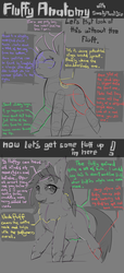 Size: 750x1650 | Tagged: safe, artist:smawtymustdie, fluffy pony, anatomy, fluffy pony original art, guide