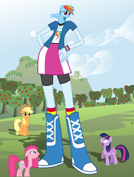 Size: 2480x3269 | Tagged: safe, applejack, pinkie pie, rainbow dash, twilight sparkle, reverse centaur, equestria girls, g4, macro, race swap