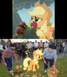 Size: 614x700 | Tagged: safe, applejack, earth pony, human, pony, g4, apple, comparison, female, hand, irl, irl human, mare, photo, size chart, size difference, that pony sure does love apples