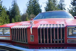 Size: 928x623 | Tagged: safe, artist:ebony-lent-lily, princess luna, g4, car, hood ornament, oldsmobile, oldsmobile cutlass, photo