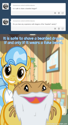 Size: 600x1099 | Tagged: safe, artist:adiwan, doctor fauna, bearded dragon, ask the vet pony, g4, ask, beard, tumblr