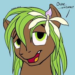 Size: 768x768 | Tagged: safe, artist:snapai, oc, oc only, oc:leaf lover, earth pony, pony, dude, flower, flower in hair, hippie, male, orchid, solo, stallion, wait what