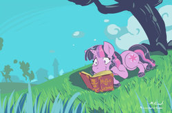 Size: 1024x671 | Tagged: safe, artist:machu, twilight sparkle, g4, book, female, grass, outdoors, reading, silhouette, solo